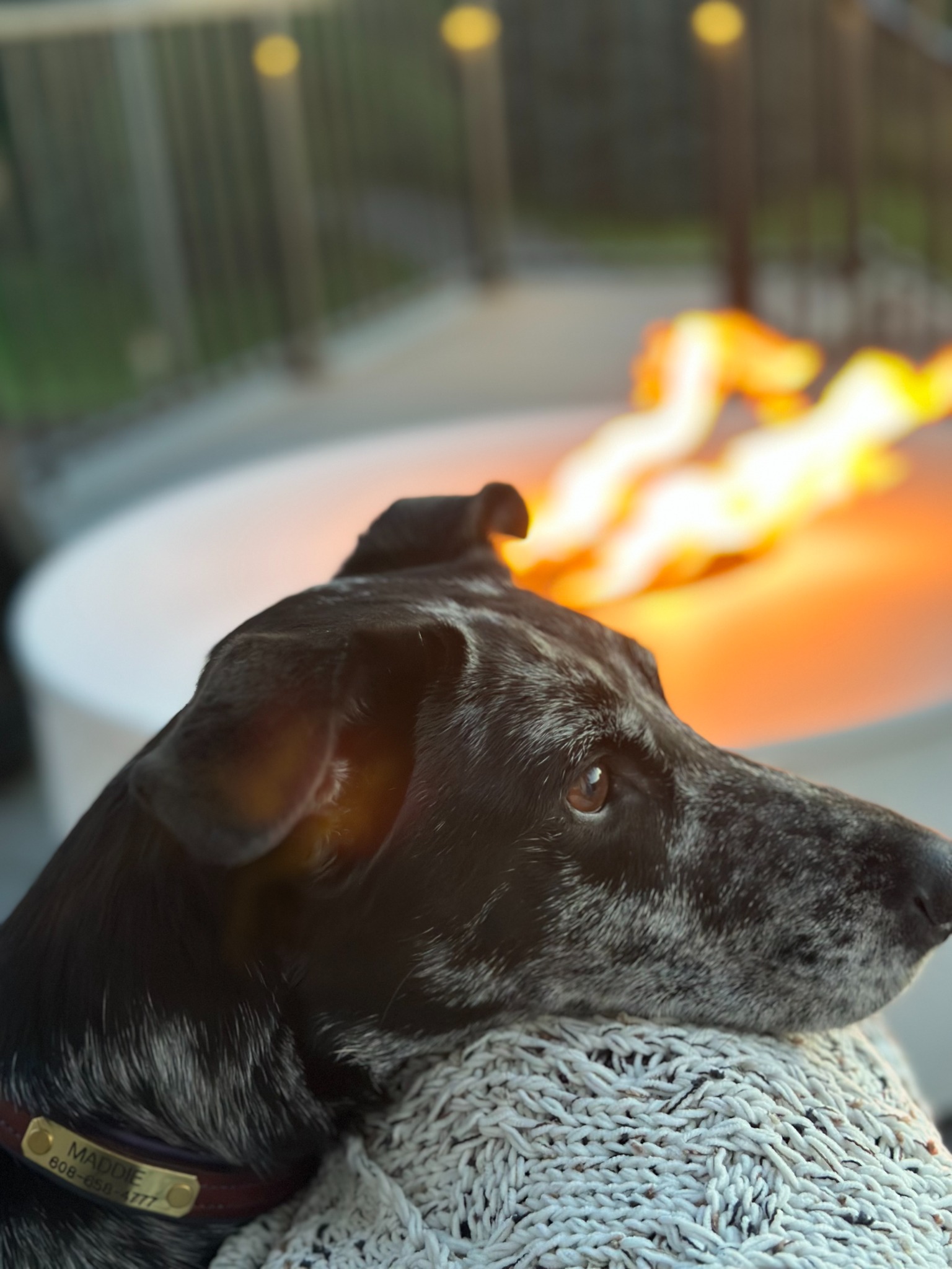 Cozy Evenings